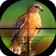 Birds Hunting Challenge Game