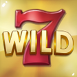 程序图标：Wild Fire