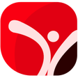 Ikon program: Fellow