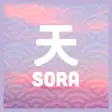 SORA Official