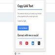 Programikonen: Copy Link Text