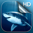 Programikonen: Shark Live Wallpaper