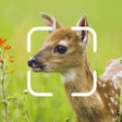 Programikonen: TrailCam Go