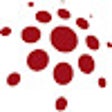 Ikon program: Opendium User Identificat…