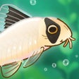 Programikonen: Pondlife  Relaxing Fish G…