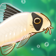 プログラムのアイコン：Pondlife  Relaxing Fish G…