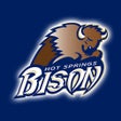 Programikonen: Hot Springs Schools