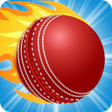 Ícone do programa: Cricket Match Puzzle Game