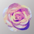프로그램 아이콘: Tarot Adviser - Thoth Dec…