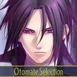 Programikonen: 薄桜鬼 豪華版