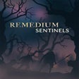 Icoon van programma: Remedium: Sentinels