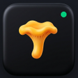 Icon of program: Edible mushroom - Photos