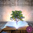 程序图标：Reiki Wisdom Library