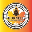 Programikonen: Discover Hornell