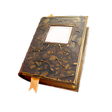 Ícone do programa: Nomad Reader