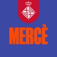 Иконка программы: Mercè