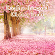程序图标：Double-flowered Cheery Tr…