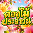 Ikona programu: คำคมโดนใจ ใหมลาสด