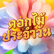 Programikonen: คำคมโดนใจ ใหมลาสด
