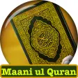 Quran  معانی القرآن لفظ به ل
