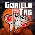 ไอคอนของโปรแกรม: Gorilla Tag: Mods Menu Sk…