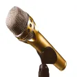 Microphone Feedback Sound