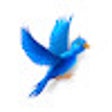 Ikon program: Twitter Enhanced
