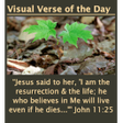 프로그램 아이콘: Visual Bible Verse of the…