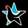 程序图标：Flockstar