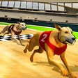 程序图标：Pet Dog Racing Simulator …
