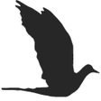 程序图标：블랙버드 키보드 - 무료 - BlackBird…