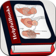 Icon of program: Human Muscle System