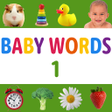 Ikon program: Baby Flashcards: 12+ Mont…
