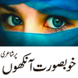 プログラムのアイコン：Ankhno per poetry urdu