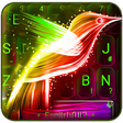Icono de programa: Neon Bird Keyboard Theme
