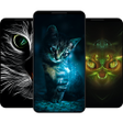 程序图标：Cat Wallpaper