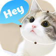 程序图标:Talking pet app: animatin…