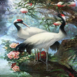 Programikonen: White Birds Live Wallpape…