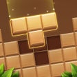 Block Puzzle: Wood Block 8x8 icon