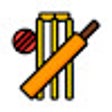 Programikonen: Cricket Updates