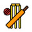 Cricket Updates