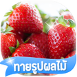 Ikona programu: เกมสทายรปผลไม 2566