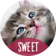 Ícone do programa: Cute animals Wallpapers