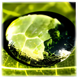 Icon of program: Chameleon