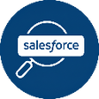 Programikonen: Org Search for Salesforce