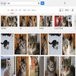 Programikonen: KittenHoldit