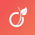 Icon of program: Viadeo