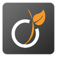 プログラムのアイコン：Viadeo
