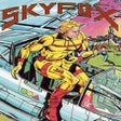 Icône du programme : Skyfox