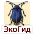 程序图标：EcoGuide: Forest Insect P…